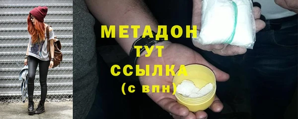 сатива Каменка