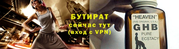 сатива Каменка