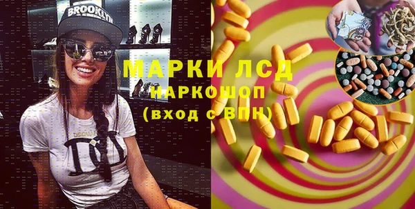 сатива Каменка