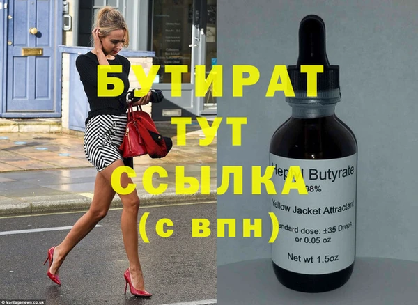 сатива Каменка