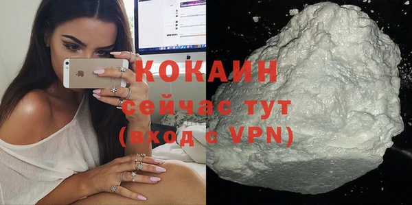 сатива Каменка