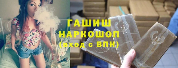 сатива Каменка